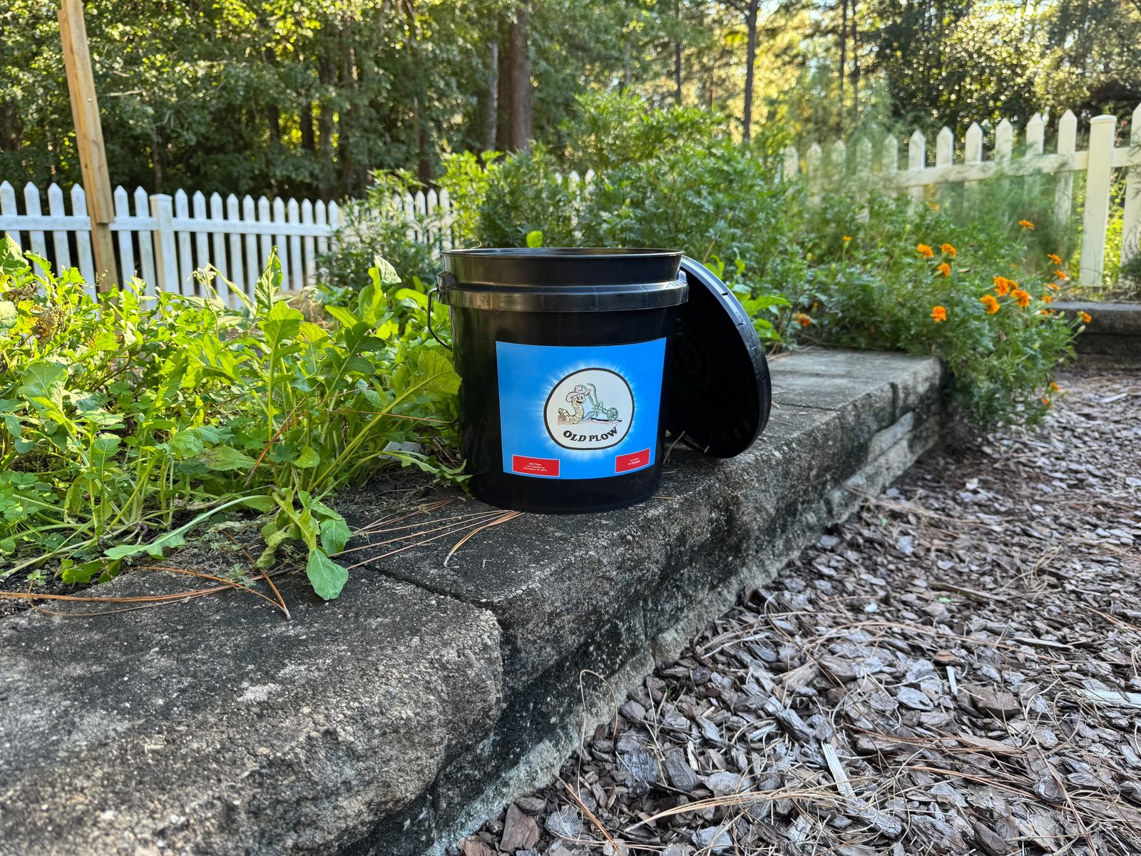 Black Old Plow bucket of worm castings on a stone garden wall beside young plants