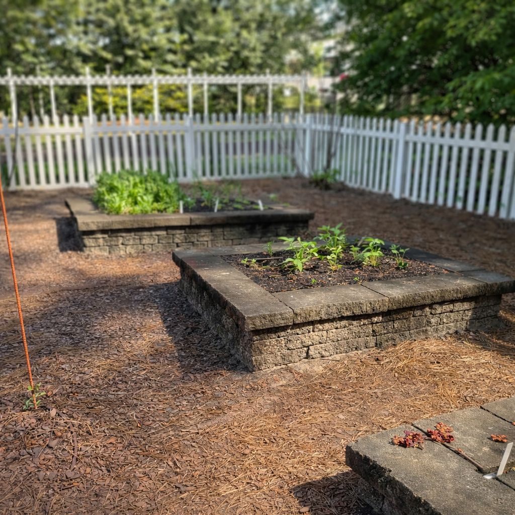Stone raised bed with herbs inside a white picket fence